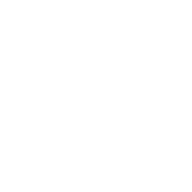 Shinobi Code
